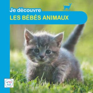 Je découvre les bébés animaux
