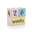 Cubes souvenirs grossesse et bébés – enfants moiniversaire