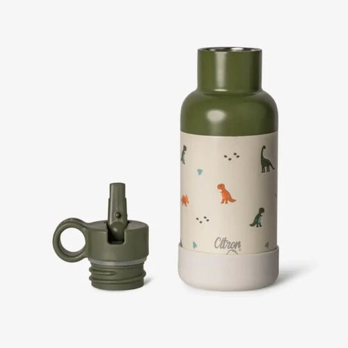 Gourde Isotherme 250ml avec Code QR - Dino Vert