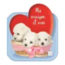 Ma Maison et Moi - Chiens