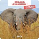 Bonjour les animaux : Les animaux sauvages