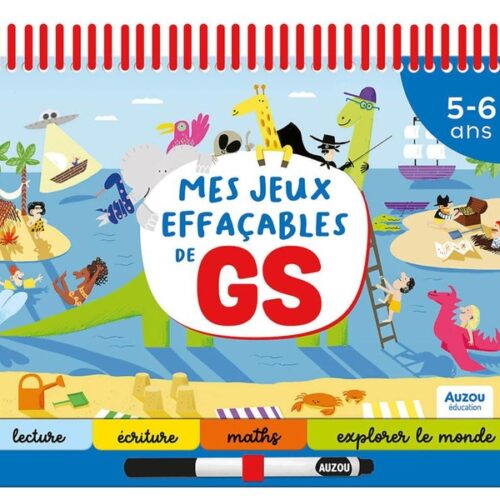 Mes jeux effaçables de GS